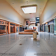 Illustration for article titled This Abandoned Mall Is Perfect for Your Zombie Back to School Shopping
